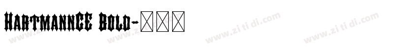 HartmannCE Bold字体转换